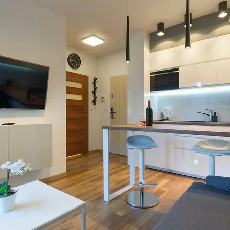 Exclusive City Centre קרקוב